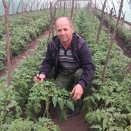 Valeriu